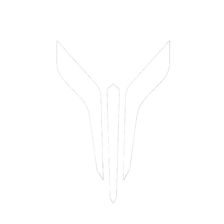 Шумоизоляция Voyah