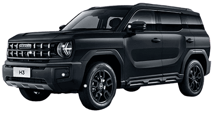 Шумоизоляция Haval H3